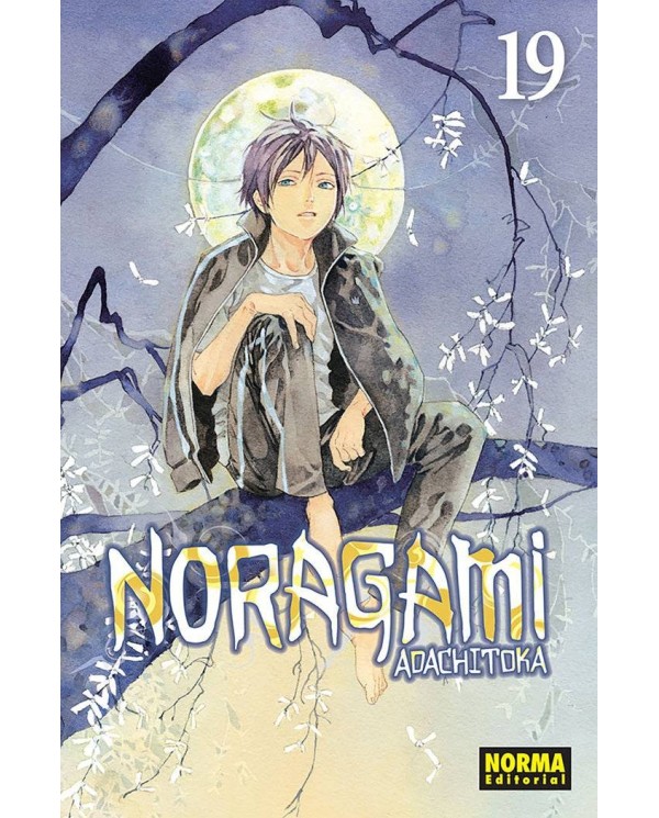 NORAGAMI 19