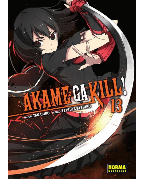 AKAME GA KILL 13