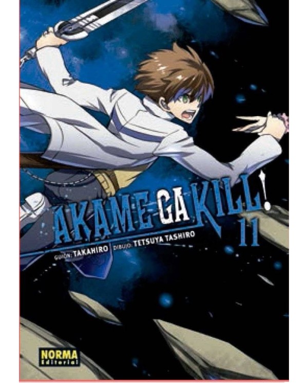 AKAME GA KILL 11