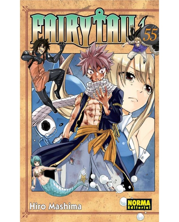 FAIRY TAIL 55