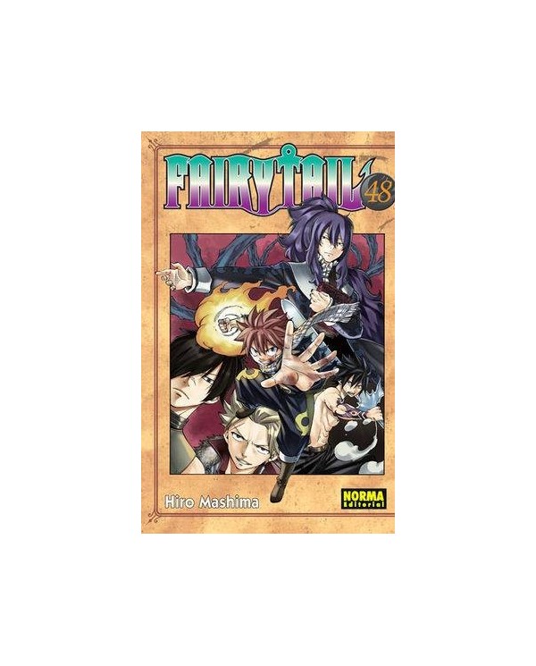 FAIRY TAIL 48