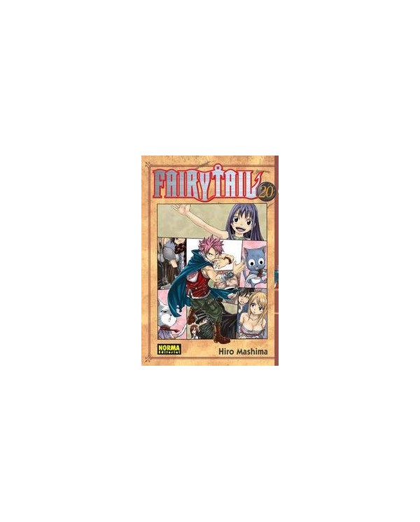 FAIRY TAIL 20