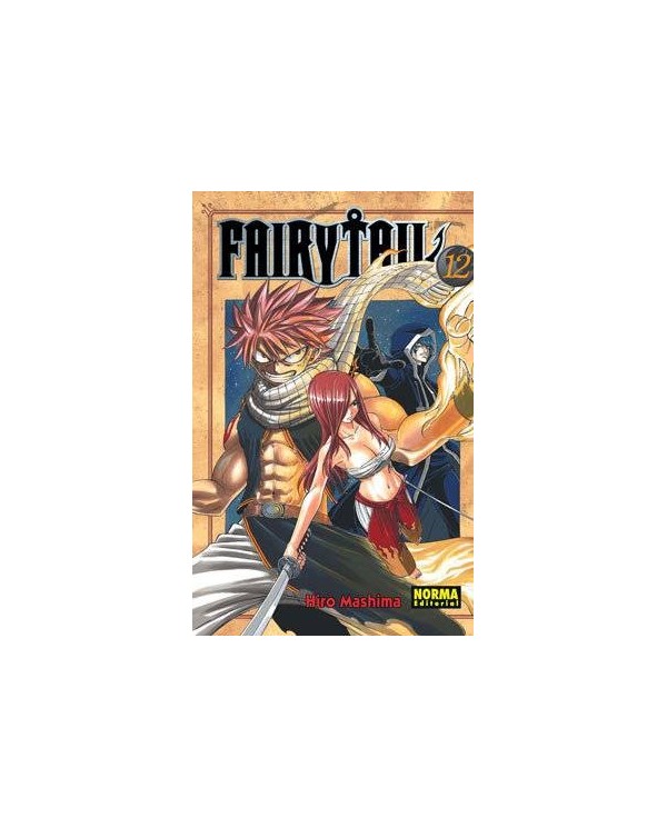 FAIRY TAIL 12