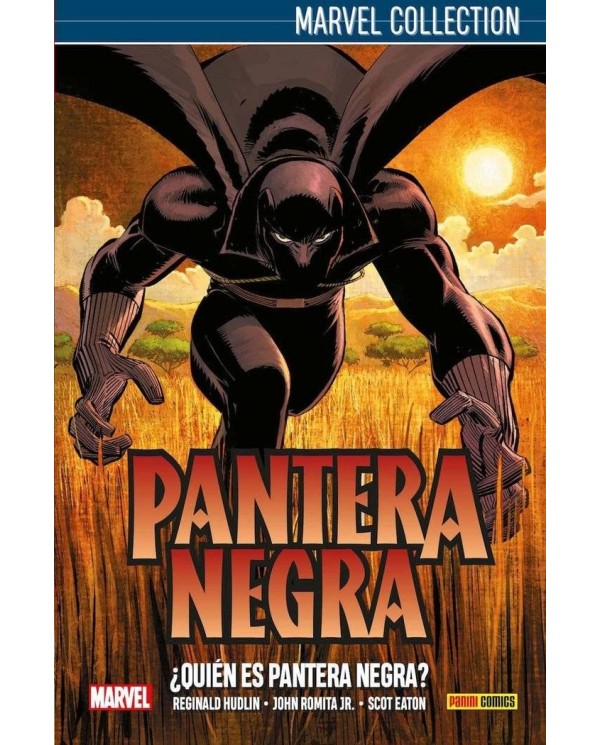 PANTERA NEGRA DE HUDLIN 1: ¿QUIEN ES PANTERA NEGRA?