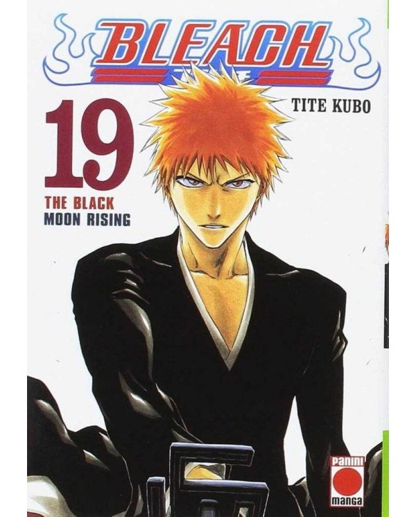 BLEACH 19 (COMIC)