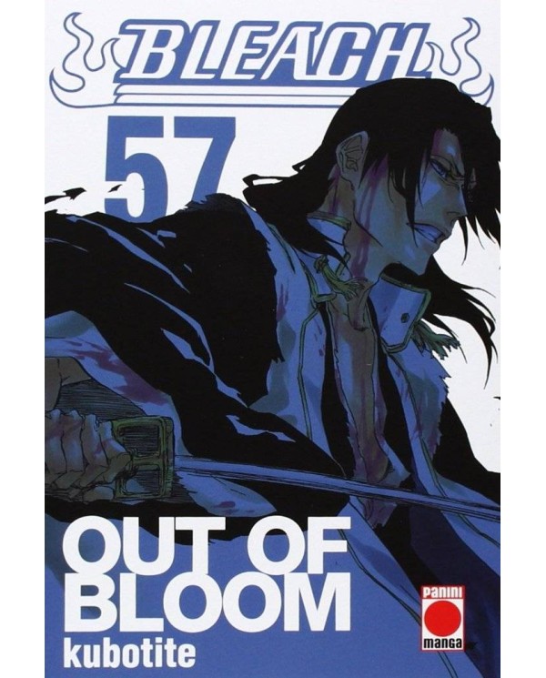 BLEACH 57 (COMIC)