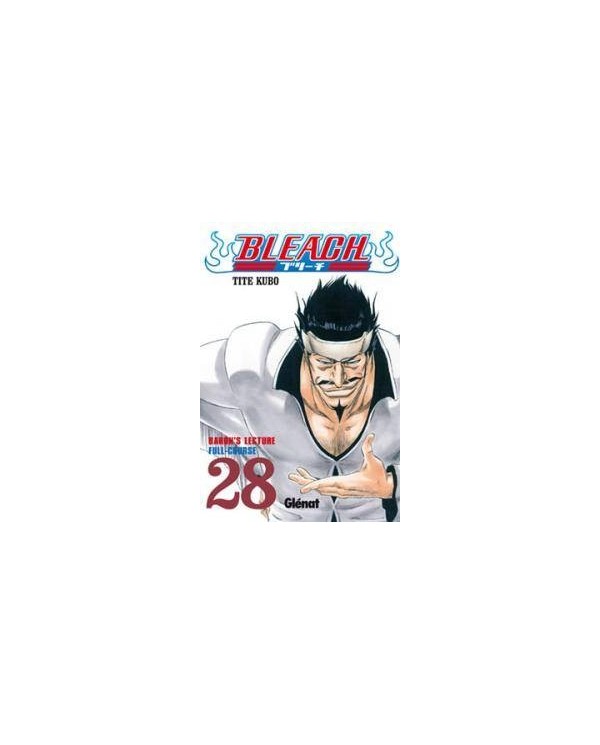 BLEACH 28 (COMIC)