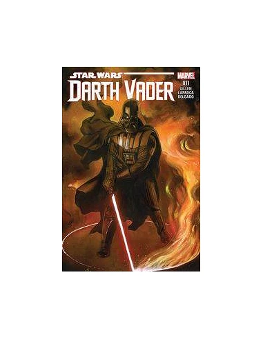 STAR WARS DARTH VADER 11