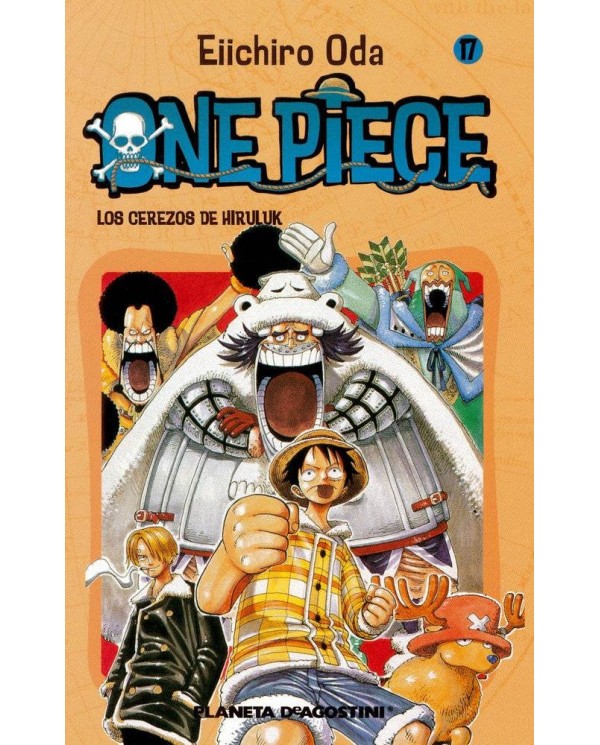 ONE PIECE 17