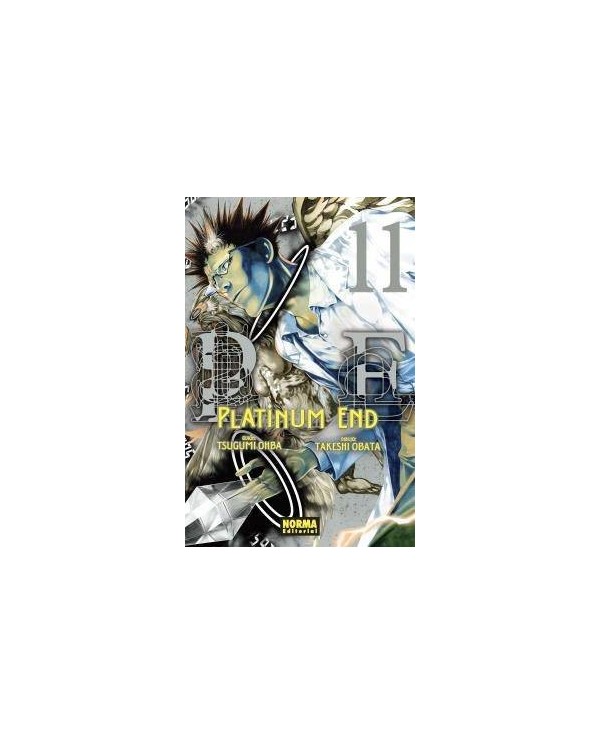 PLATINUM END 11