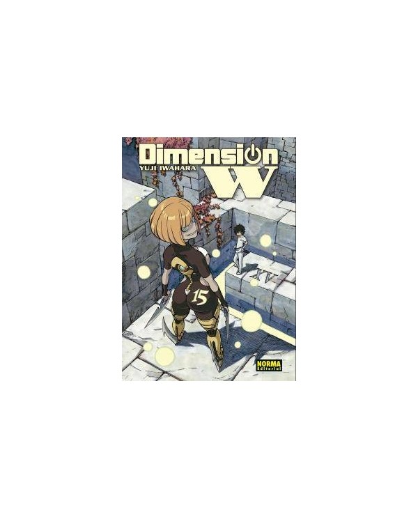 DIMENSION W 15