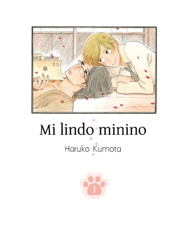 MI LINDO MININO VOL 1