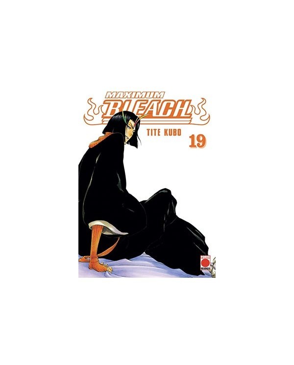 BLEACH MAXIMUM 19