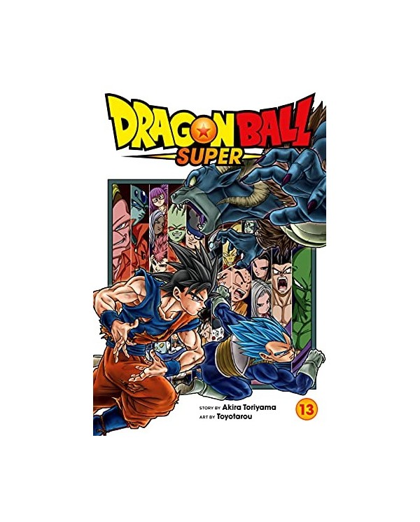 DRAGON BALL SUPER Nº 13