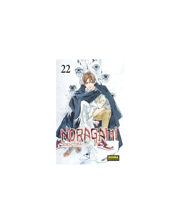 NORAGAMI 22