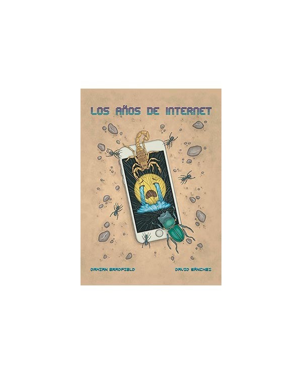 LOS AÑOS DE INTERNET