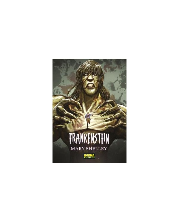 FRANKESTEIN (CLÁSICOS MANGA)