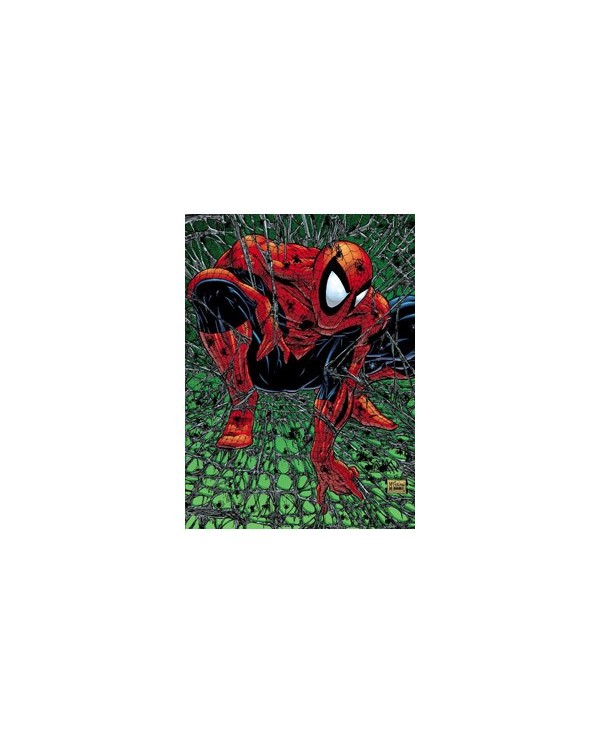 MARVEL MUST-HAVE. SPIDERMAN: TORMENTO