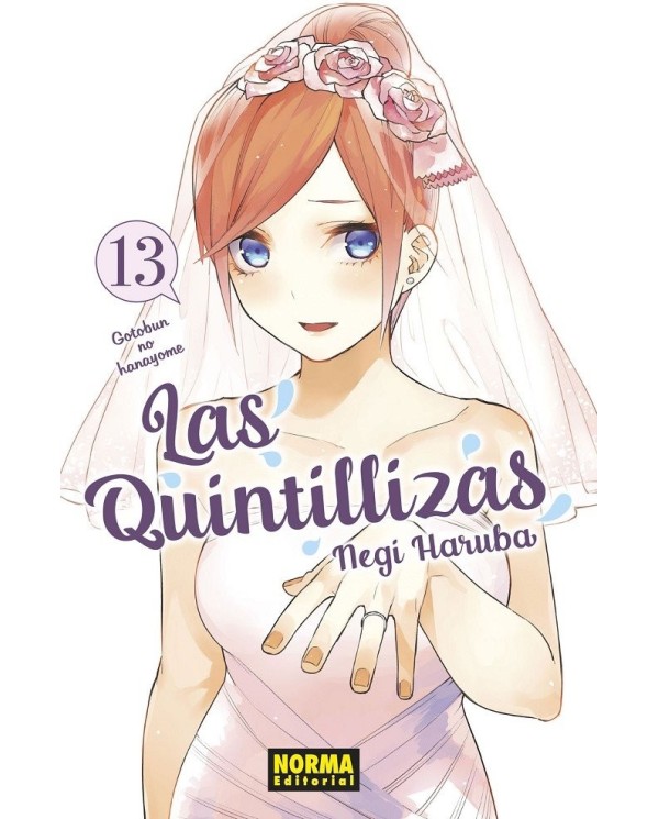 LAS QUINTILLIZAS 13