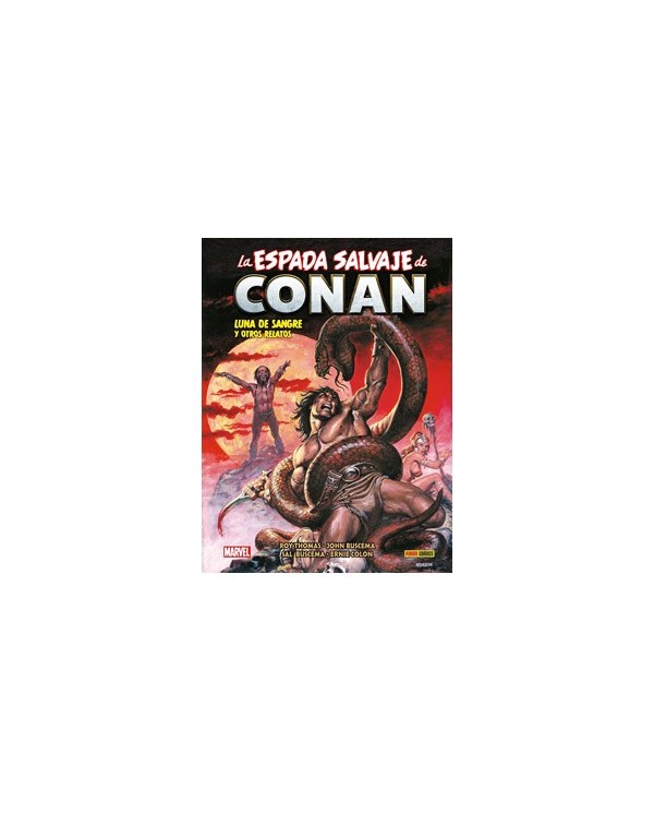 BIBLIOTECA CONAN. LA ESPADA SALVAJE DE CONAN 14