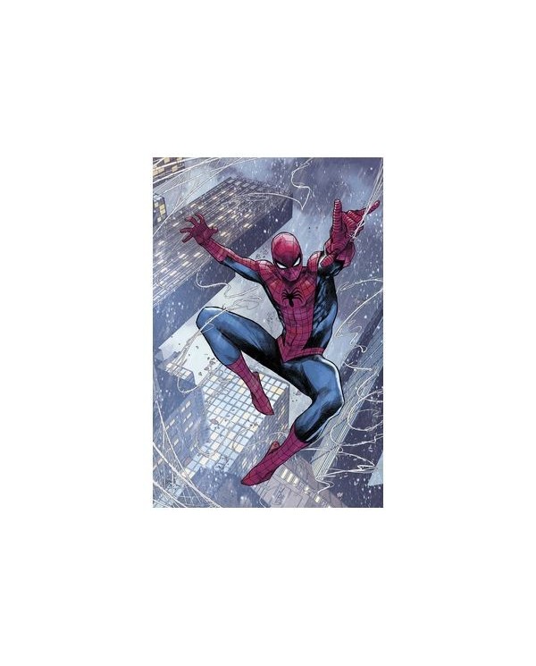 ULTIMATE SPIDERMAN 01,977293860900600001,AL WEING,PANINI