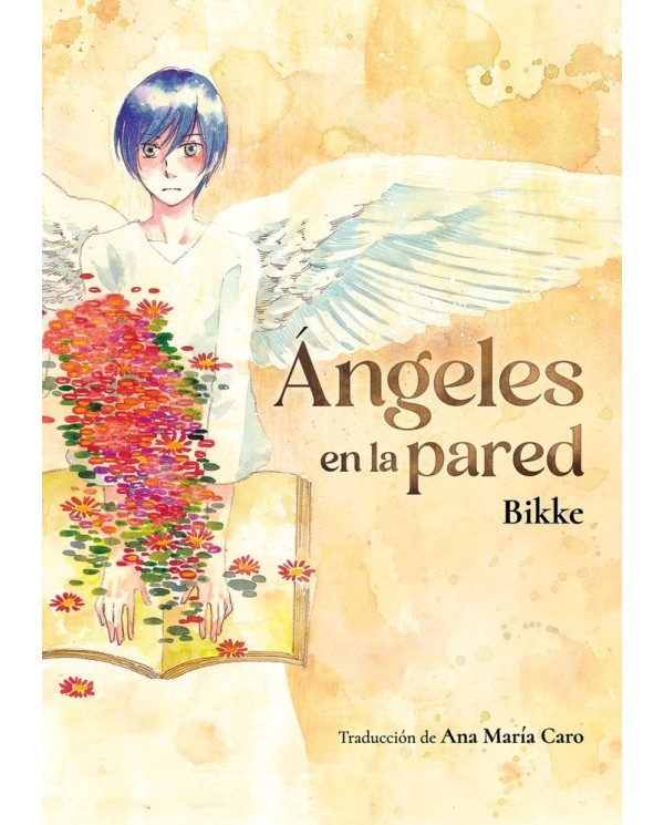 ANGELES EN LA PARED,9788418739477,BIKKE,TOMODOMO