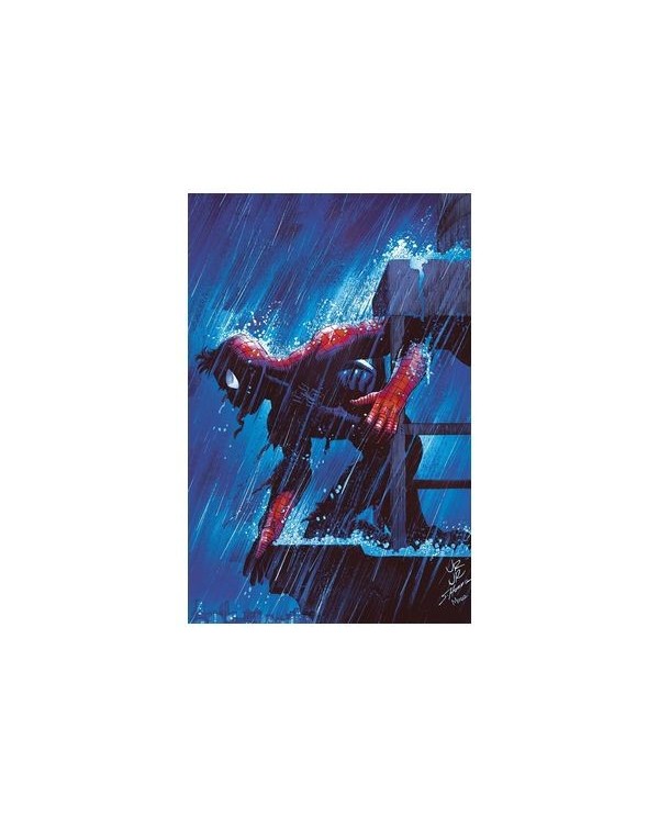 ZEB WELLS,PANINI,MARVEL,977000533900900238,EL ASOMBROSO SPIDERMAN 29