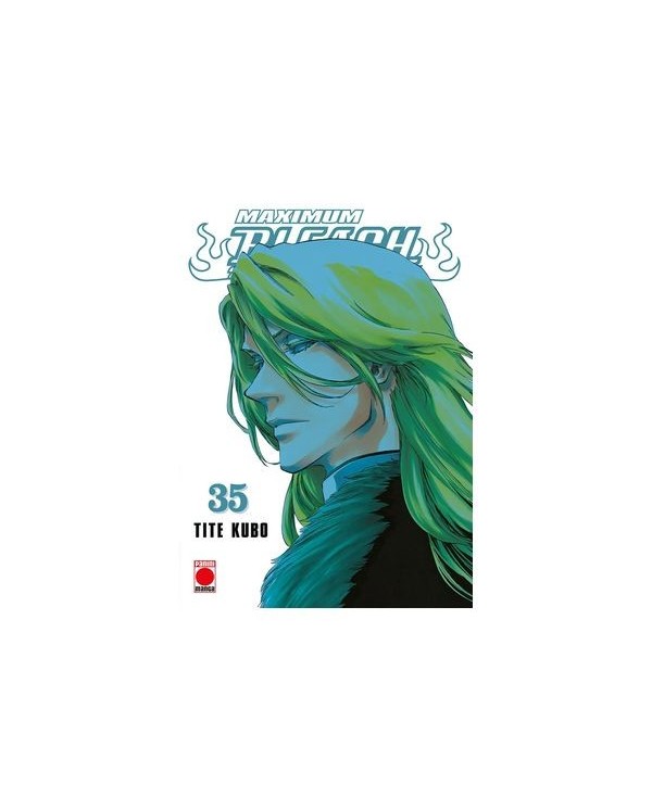 TITE KUBO,PANINI,Manga,9788410513631,BLEACH MAXIMUM 35