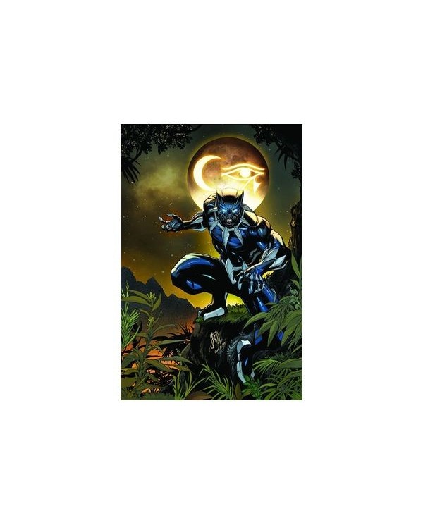 VARIOS AUTORES,PANINI,MARVEL,978977293865000001,ULTIMATE BLACK PANTHER 01