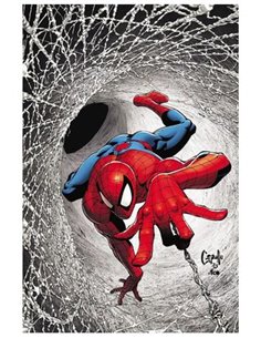 VARIOS AUTORES,PANINI,,977000533900900239,EL ASOMBROSO SPIDERMAN 30