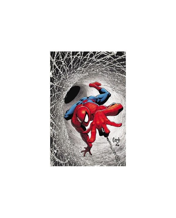 VARIOS AUTORES,PANINI,,977000533900900239,EL ASOMBROSO SPIDERMAN 30