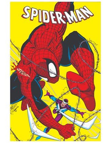 VARIOS AUTORES,PANINI ,,9788418814846,SPIDERMAN DE DAVID MICHELINE Y ERIK LARSEN