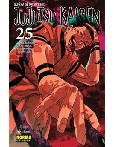 AKUTAMI  GEGE,NORMA,,9788467971743 ,JUJUTSU KAISEN 25