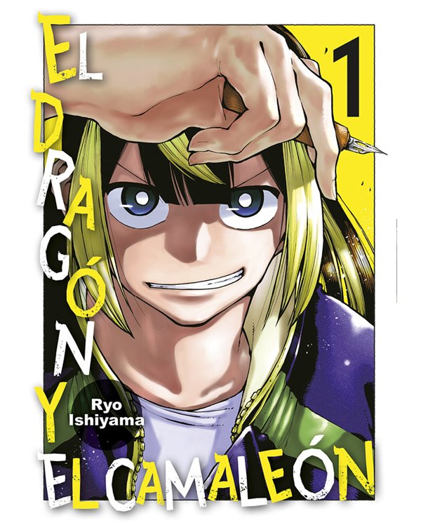 RYO ISHIYAMA,NORMA,,9788467972467,EL DRAGON Y EL CAMALEON 1,10