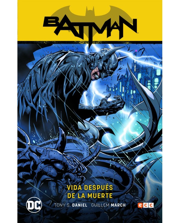 Batman vol. 10: Vida después de la muerte (Batman Saga - Renacido parte 4)