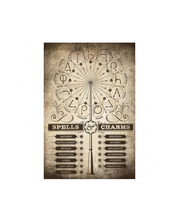 Poster Harry Potter Spells & Charms 8435497204037  7,50 €