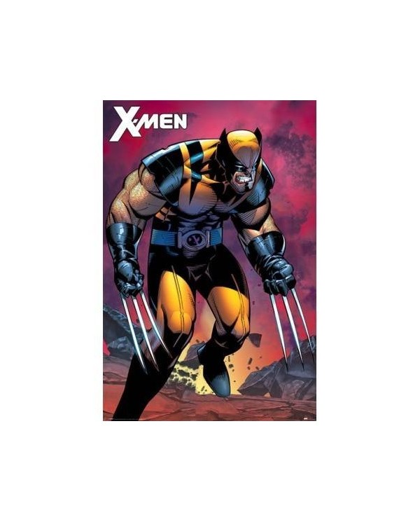 Lobezno X-Men (Wolverine Berserker Rage) 5050574341189  7,50 €