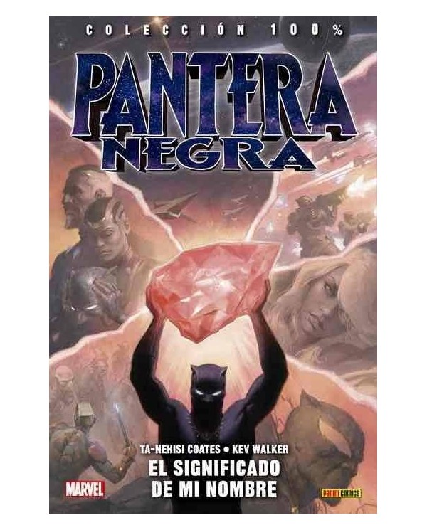 PANTERA NEGRA 02. EL SIGNIFICADO DE MI NOMBRE 9788491679592  13,46 €